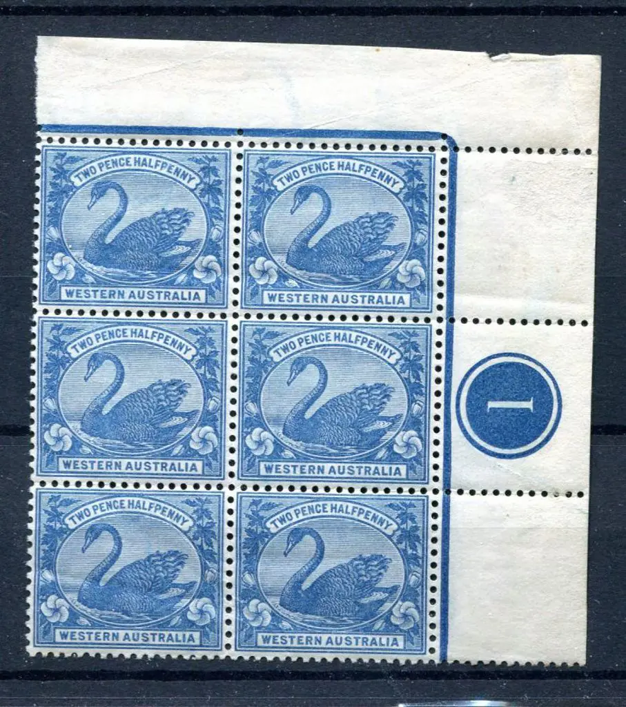 1901 2½d blue, W Crown A wmk perf. 14 in top right ... Image 1++