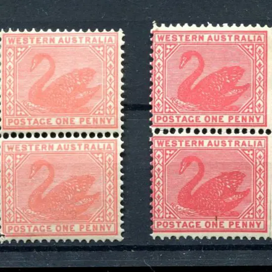 1902/11 1d carmine-rose blocks of 4 in both wmks, ...