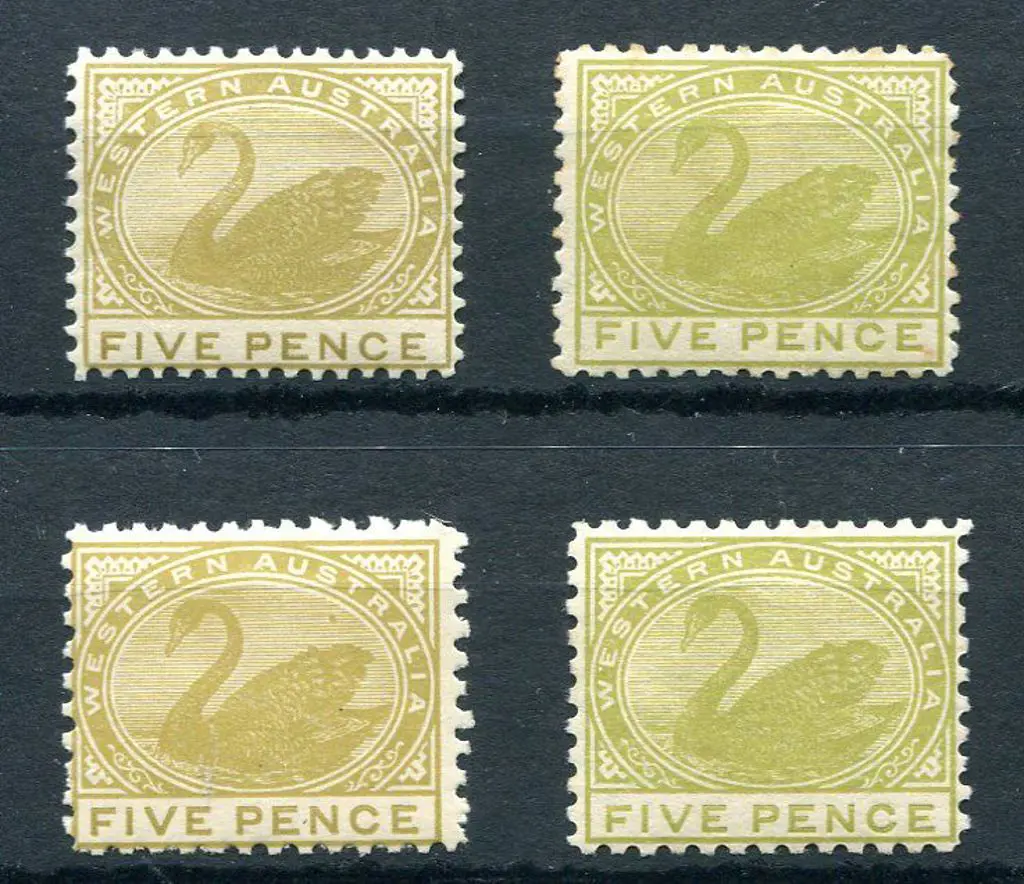 1905/12 5d pale olive-bistre, perf 12½, MLH (SG ... Image 1++