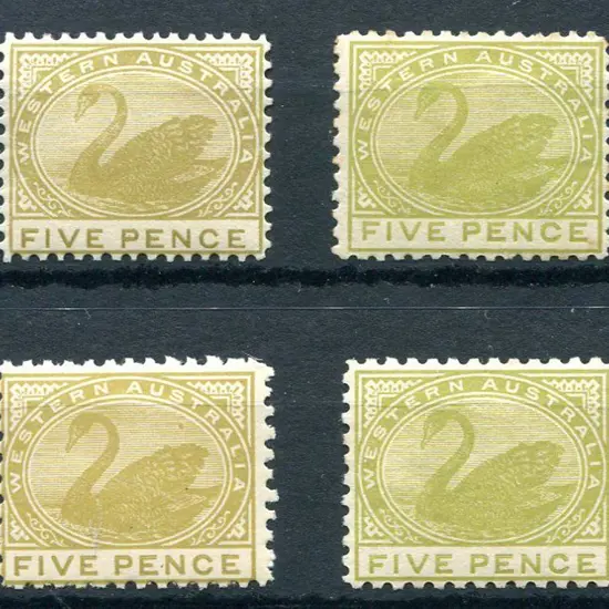 1905/12 5d pale olive-bistre, perf 12½, MLH (SG ...