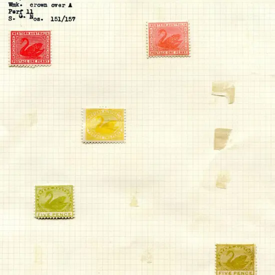 1905/12 1d rose-pink (SG 151), 1d carmine-red (SG ...