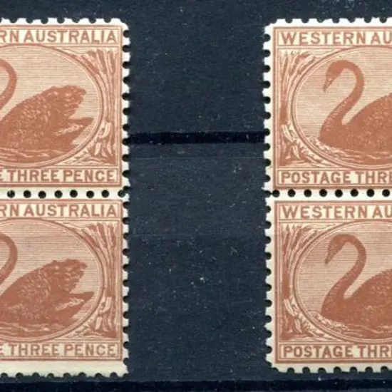 1905 3d brown, perf. 11 blocks of 4 x 2. Both ...