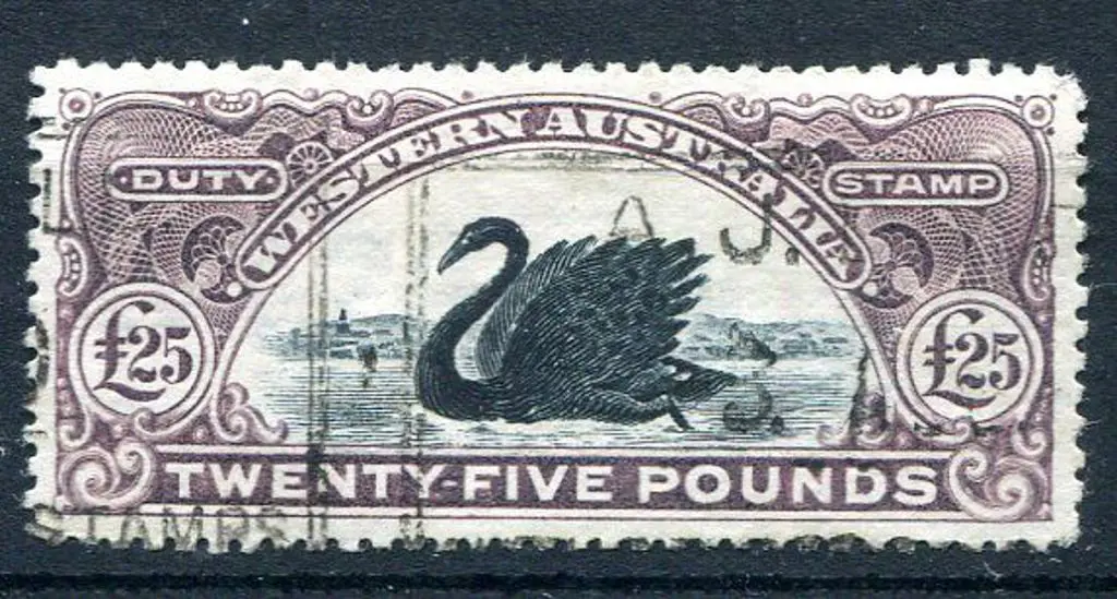 1904 £25 blackish-purple, perf 13½. Fine with ... Image 1++