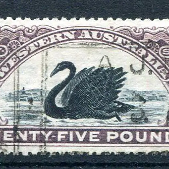 1904 £25 blackish-purple, perf 13½. Fine with ...