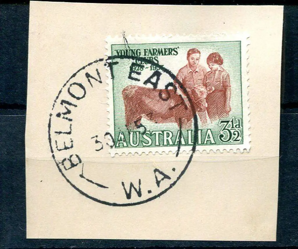 Belmont East C30 Stunning bold & complete tying ... Image 1++
