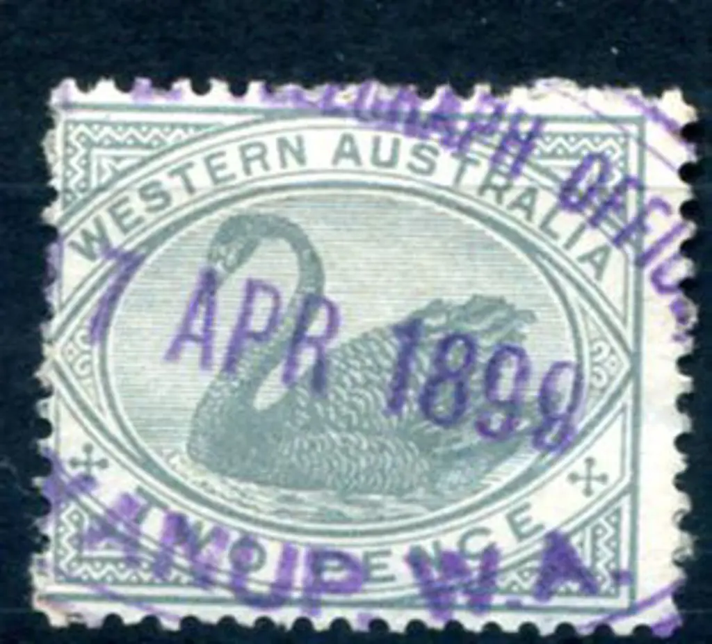 Boyanup Telegraph Office ORS1 on 2d grey swan ... Image 1++