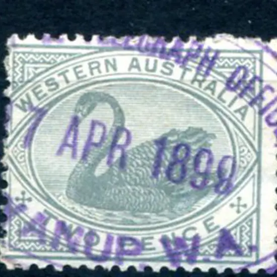Boyanup Telegraph Office ORS1 on 2d grey swan ...