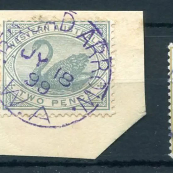 Broad Arrow 3b-a on 2d grey swan on piece for JY ...