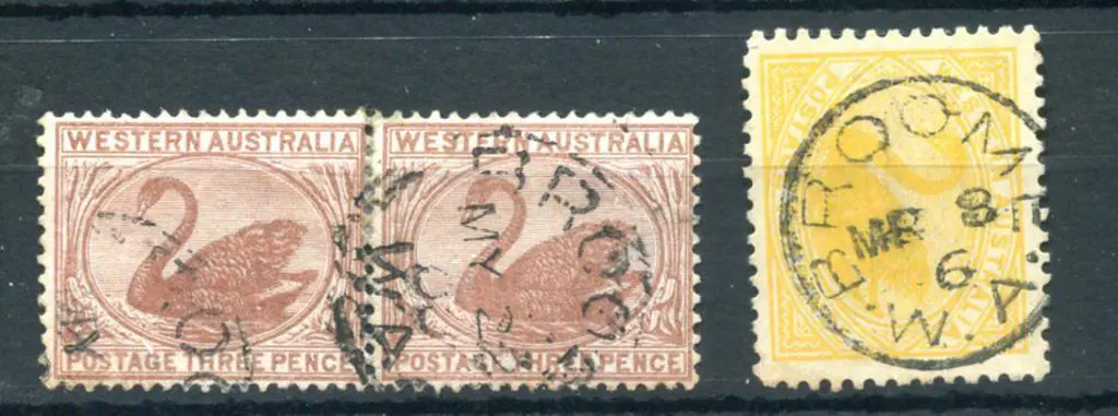 Broome 3b-a on 3d brown swans pair for MY 22 00 & ... Image 1++