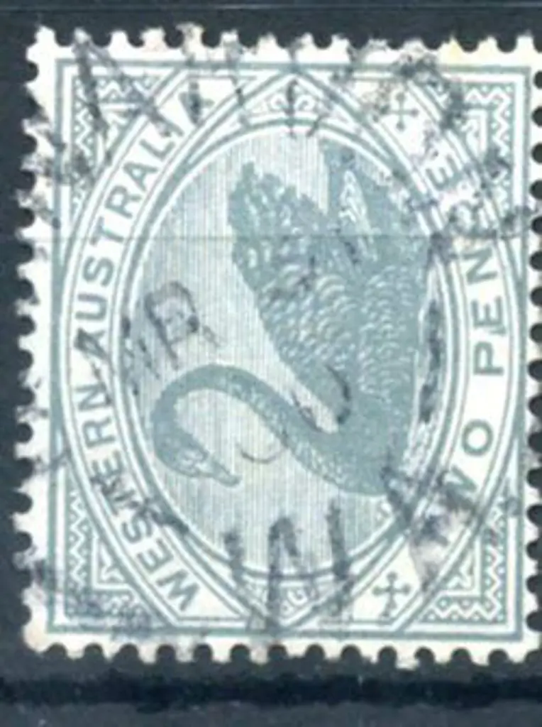 Carnarvon 2b on 2d grey swan. 60% strike dated MR ... Image 1++