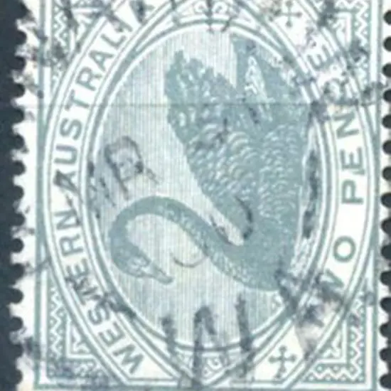 Carnarvon 2b on 2d grey swan. 60% strike dated MR ...