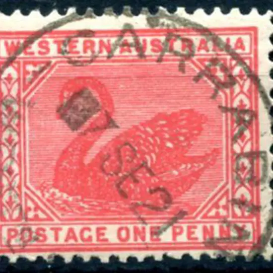 Carrabin B28 on 1d red swan for 7 SE 21. PMI dates ...