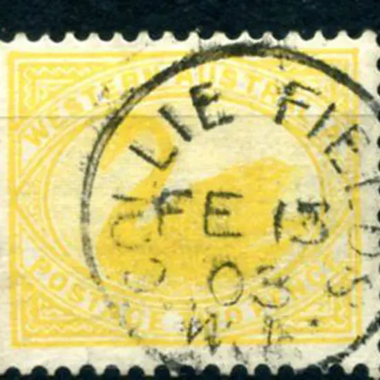 Collie Fields 3b-a Index NIL on 2d yellow swan for ...