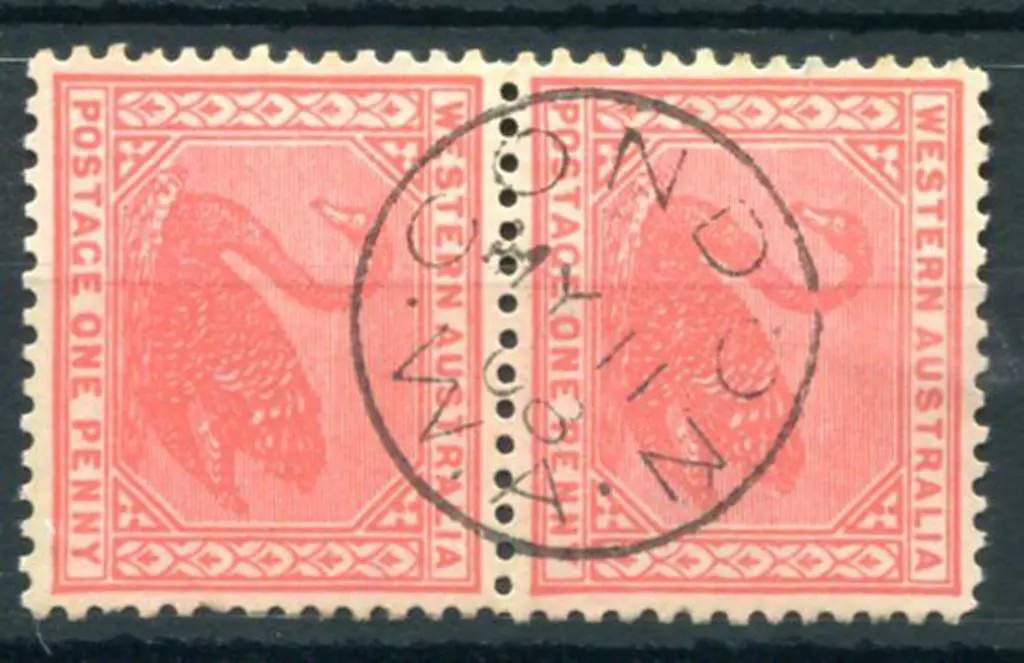 Condon 3b Superb complete strike on 1d red swans ... Image 1++