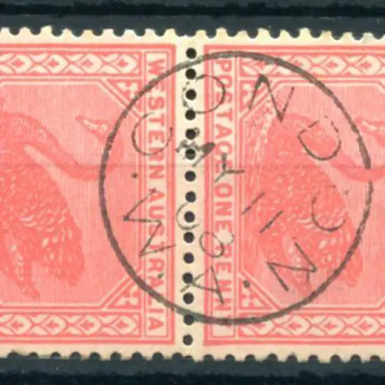 Condon 3b Superb complete strike on 1d red swans ...