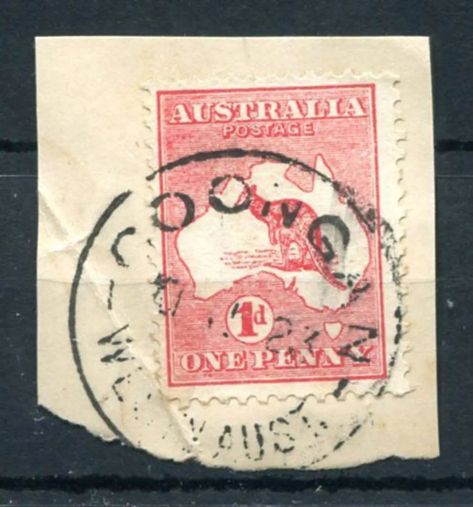 Coongan Complete strike on 1d kangaroo on piece ... Image 1++