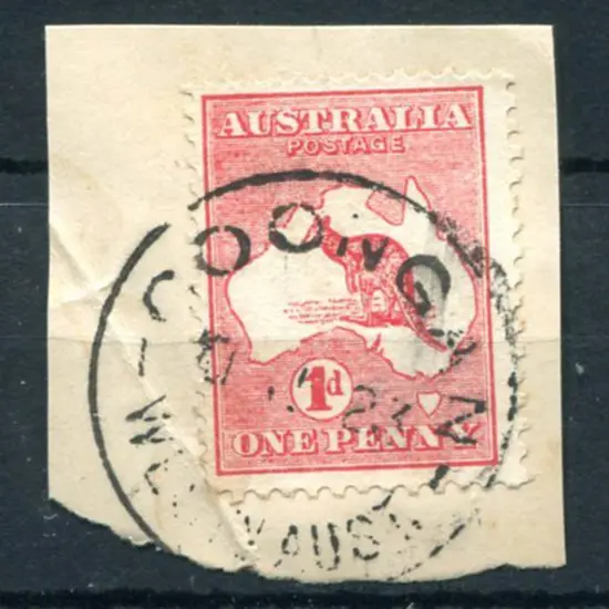 Coongan Complete strike on 1d kangaroo on piece ...