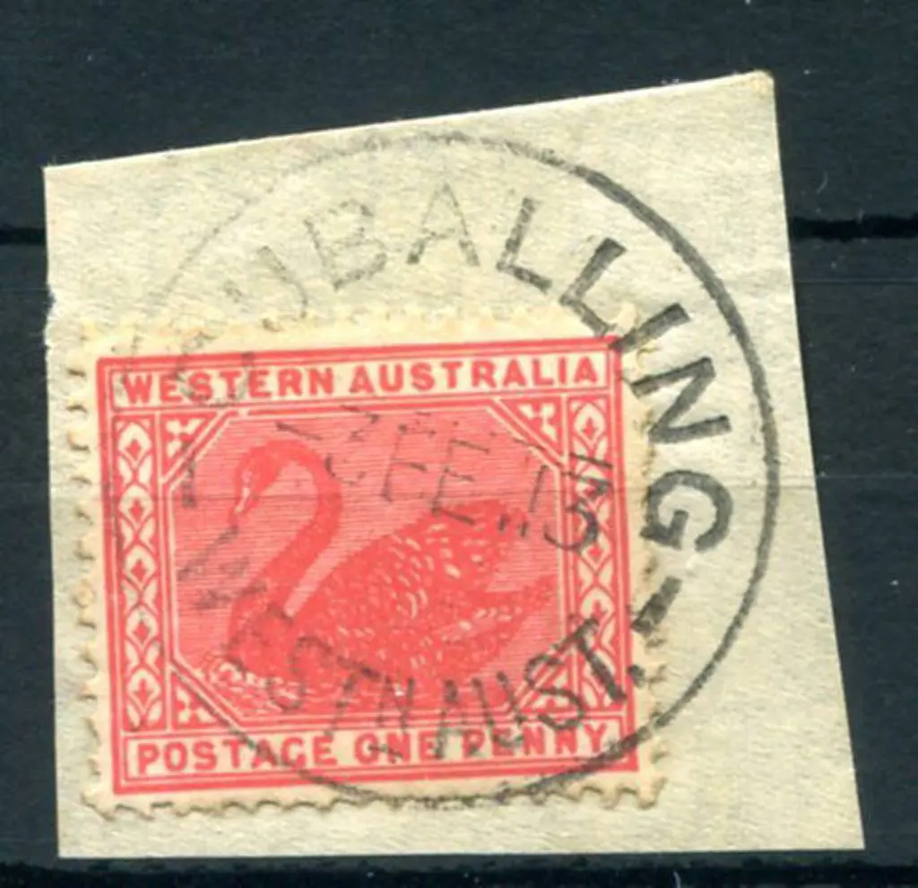Cuballing B30 complete strike on 1d red swan on ... Image 1++