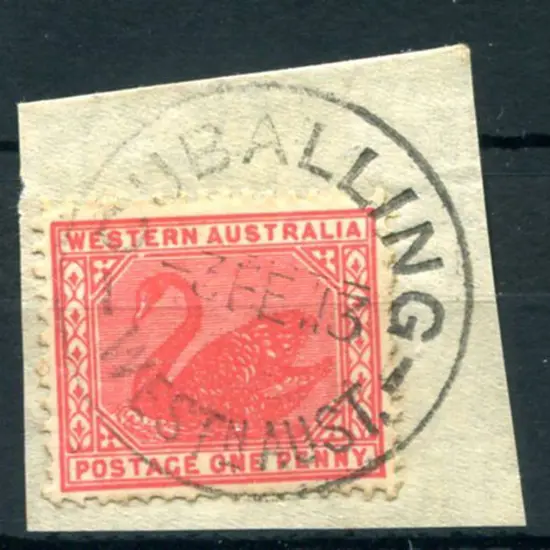 Cuballing B30 complete strike on 1d red swan on ...