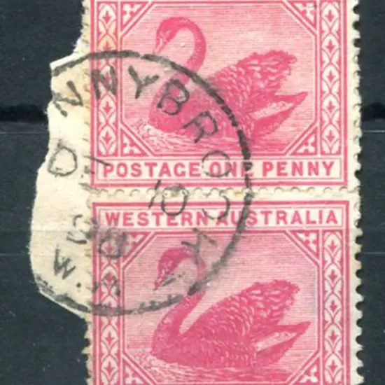 Donnybrook 3b Nil index on 1d red swans vert pair ...