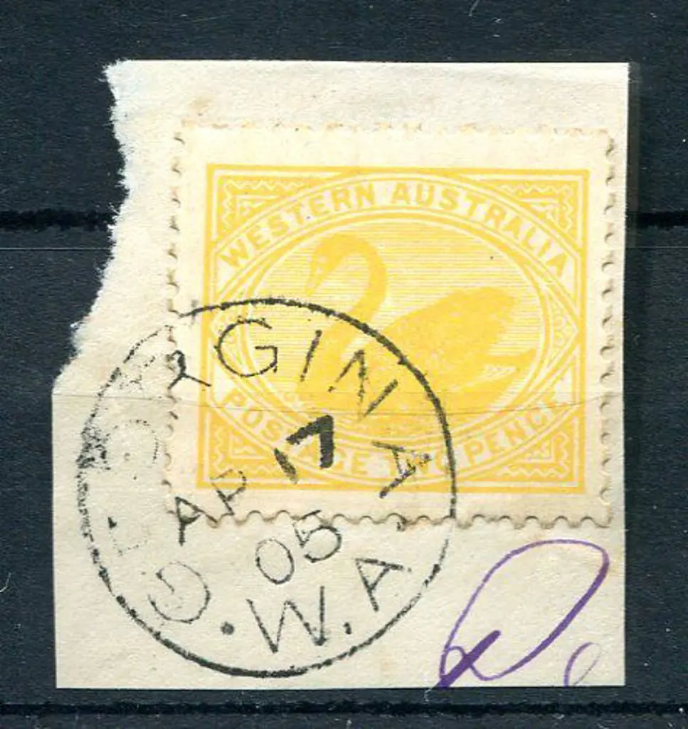 Georgina 3b on 2d yellow swan on piece for AP 17 ... Image 1++