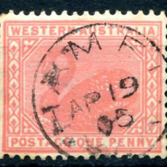 Hamel 3b An almost complete strike on 1d red swan ...