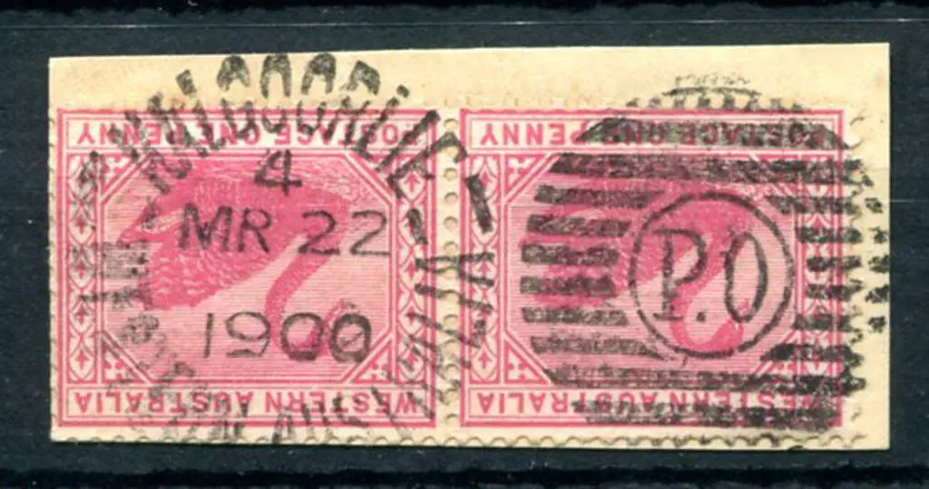 Kalgoorlie DxPO-b index 4 duplex on 1d red swans ... Image 1++
