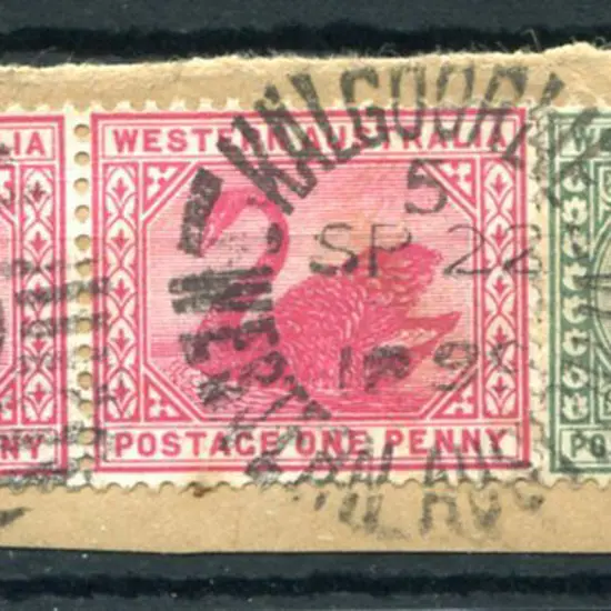 Kalgoorlie DxPO-b index 5 duplex with two fine ...
