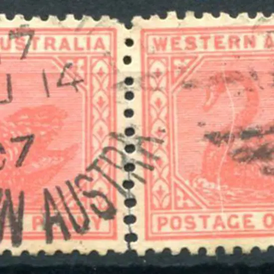 Kalgoorlie DxPO-c index 17 duplex on 1d red swans ...