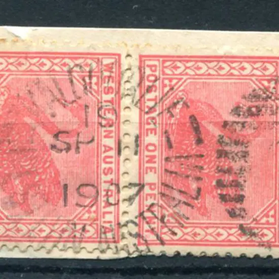 Kalgoorlie DxPO-c duplex index 19 on 1d red swans ...