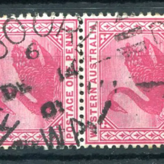 Kalgoorlie DxPO-e index 6 duplex on 1d red swans ...