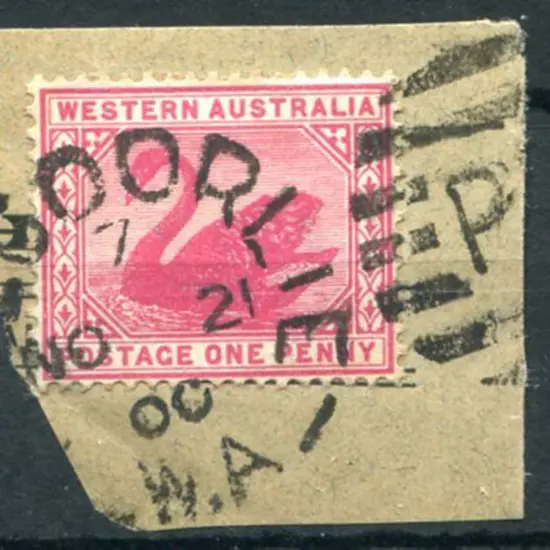 Kalgoorlie DxPO-e index 7 duplex on 1d red swan on ...