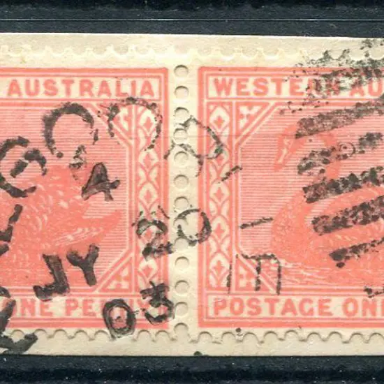 Kalgoorlie DxPO-f index 4 duplex on 1d red swans ...