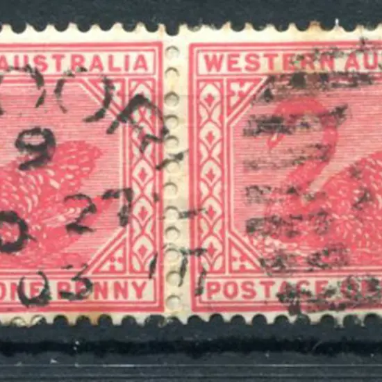 Kalgoorlie DxPO-f index 9 duplex on 1d red swans ...