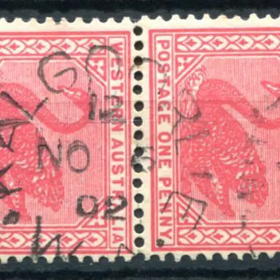 Kalgoorlie DxPO-f index 12 duplex on 1d red swans ...