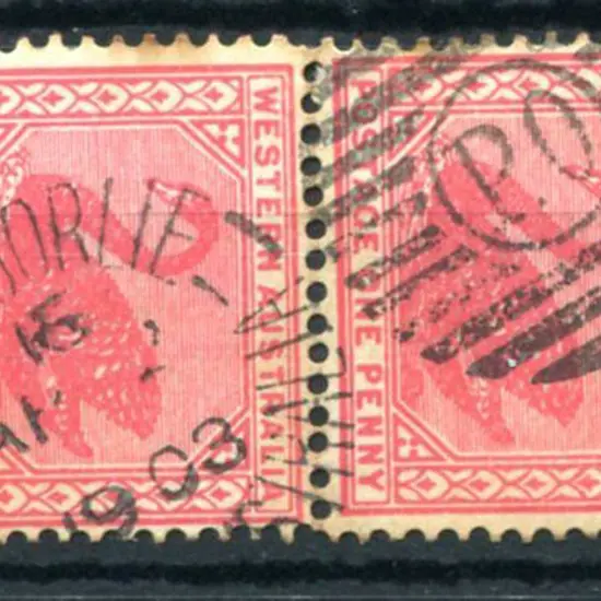 Kalgoorlie DxPO-f index 16 duplex on 1d red swans ...
