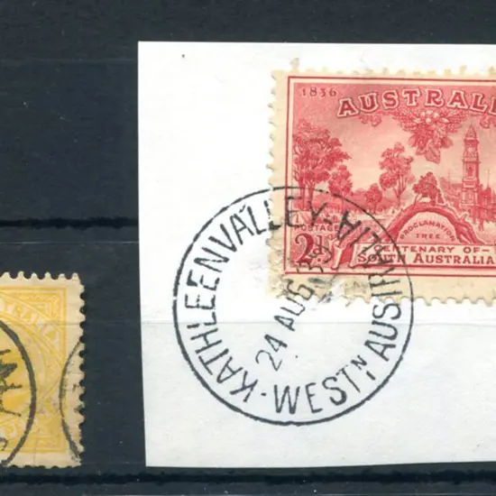 Kathleen Valley CDS (1) 3b on 2d yellow swan for ...