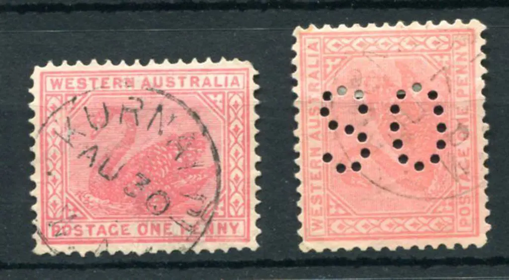 Kurnalpi 3b on 1d red swan for AU 30 with year ... Image 1++