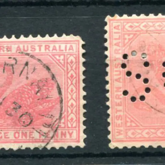 Kurnalpi 3b on 1d red swan for AU 30 with year ...