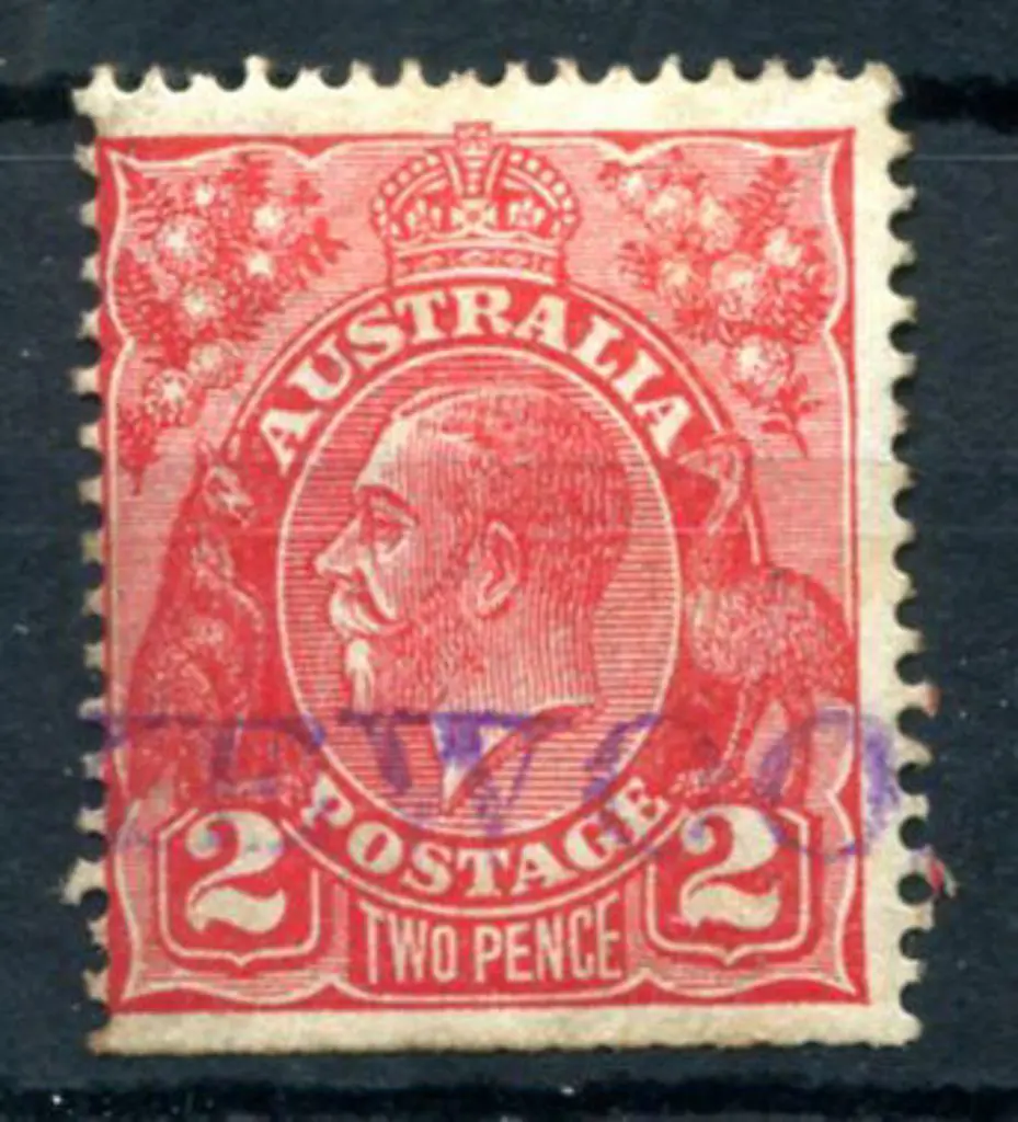 Lakewood Single straight line in violet on 2d red ... Image 1++