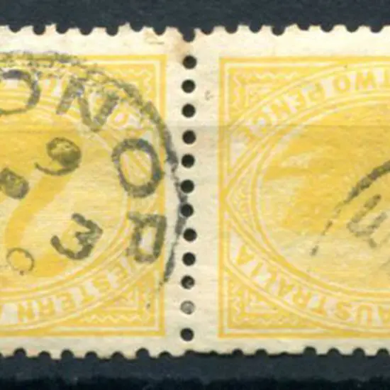 Leonora 3b-b index 9 on 2d yellow swans pair for ...