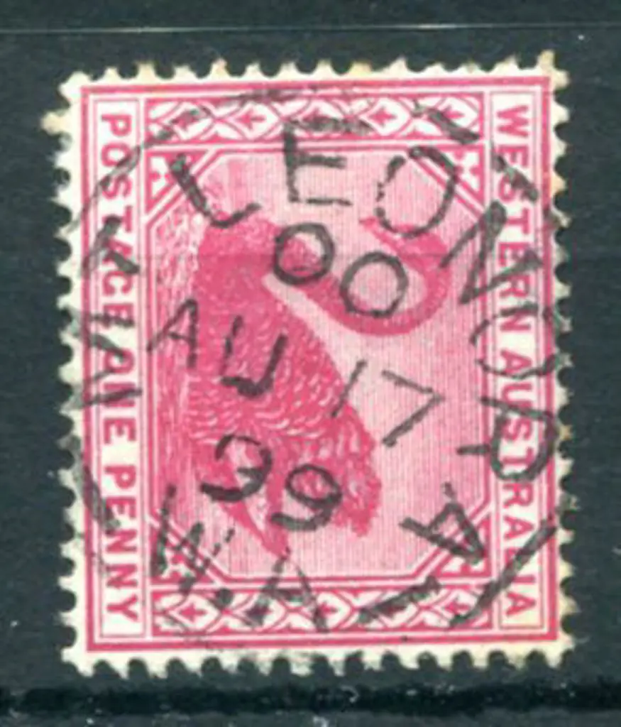 Leonora showing Mt Leonora 3b-a on 1d red swan for ... Image 1++