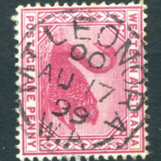Leonora showing Mt Leonora 3b-a on 1d red swan for ...
