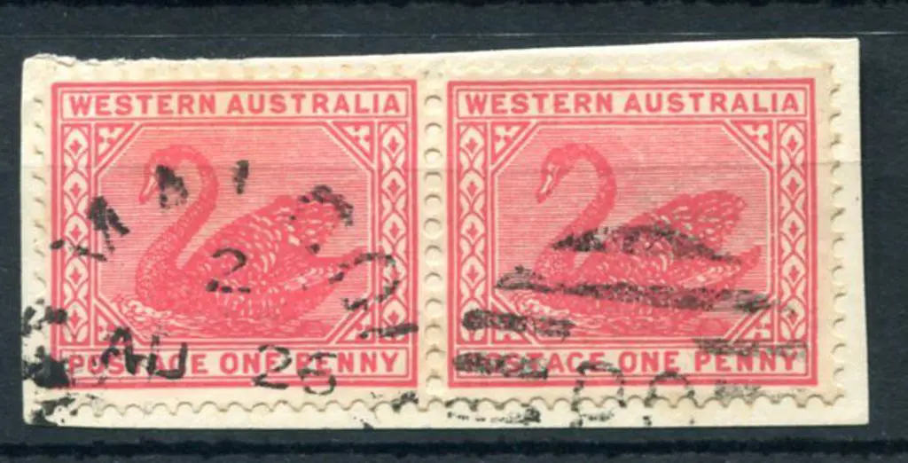Malcolm DxPO duplex index 2 on 1d red swans pair ... Image 1++