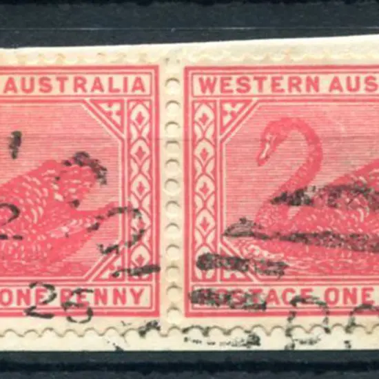Malcolm DxPO duplex index 2 on 1d red swans pair ...