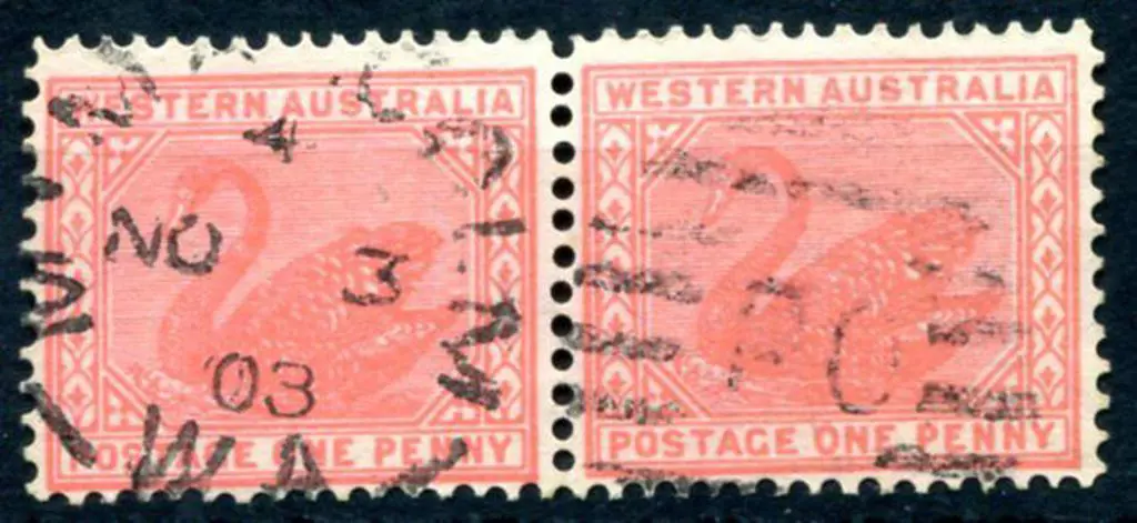 Malcolm DxPO duplex index 4 on 1d red swans pair ... Image 1++