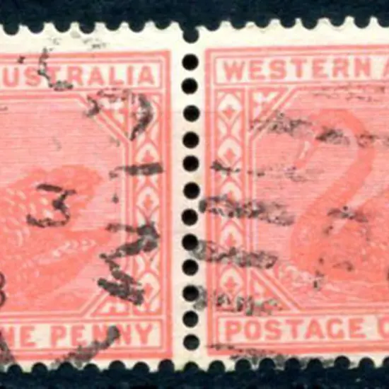 Malcolm DxPO duplex index 4 on 1d red swans pair ...