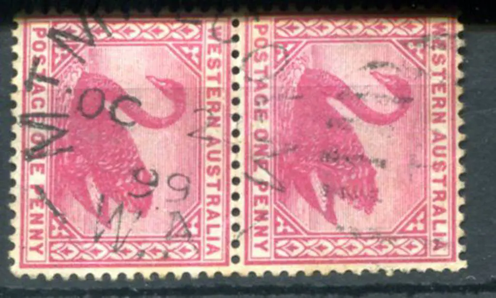 Malcolm DxPO duplex index nil on 1d red swans pair ... Image 1++