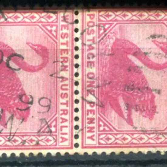 Malcolm DxPO duplex index nil on 1d red swans pair ...