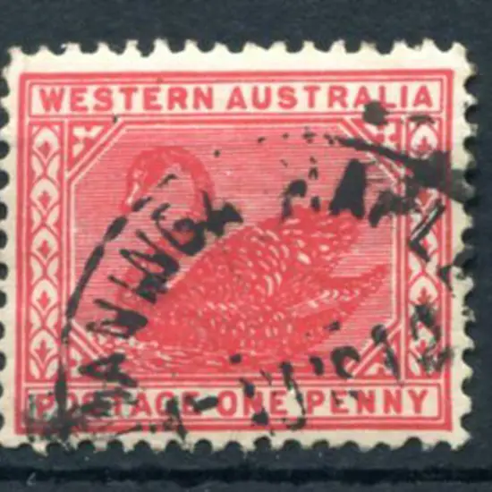 Maninga Mapley A26 on 1d red swan for 1 AUG 12. ...